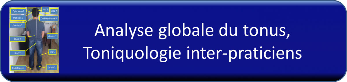 Analyse globale du tonus, Toniquologie inter-praticiens Analyse globale du tonus, Toniquologie inter-praticiens
